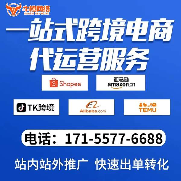 吐鲁番电商代运营